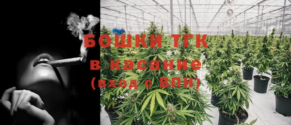 эйфоретик Аркадак
