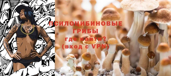 эйфоретик Аркадак