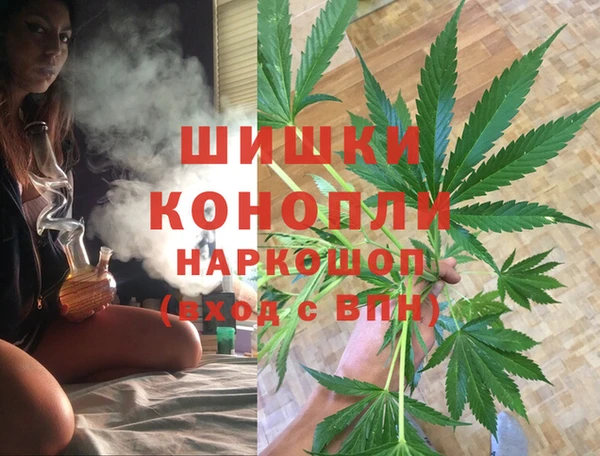 эйфоретик Аркадак